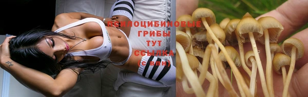 дистиллят марихуана Аркадак