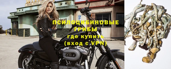 МДПВ Армянск