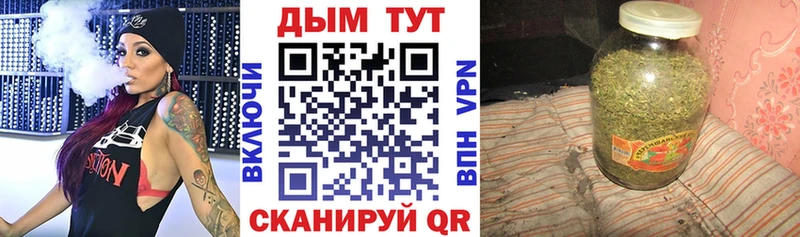 купить наркотик  Белозерск  Канабис сатива 